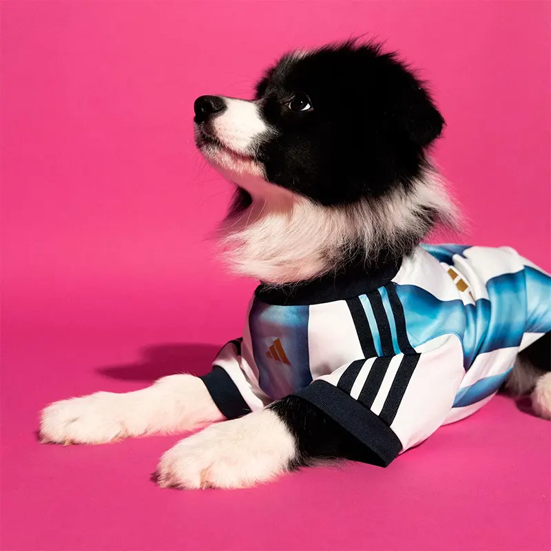 Adidas Pet Jersey - Image 3