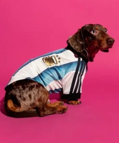 Adidas Pet Jersey