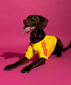 Adidas Pet Jersey 26 Colombia