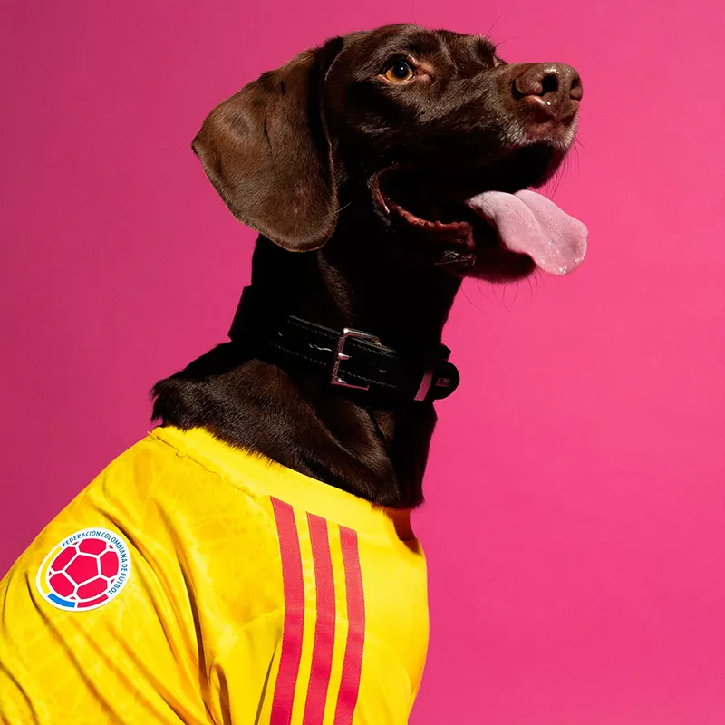 Adidas Pet Jersey 26 Colombia - Image 4