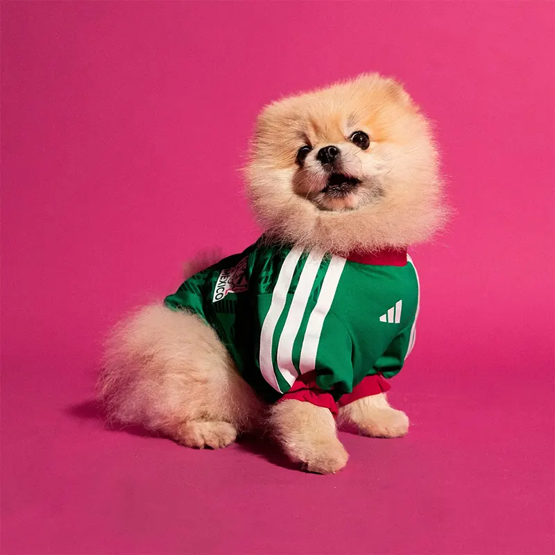 Adidas Pet Jersey 26 Mexico