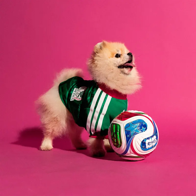 Adidas Pet Jersey 26 Mexico - Image 4