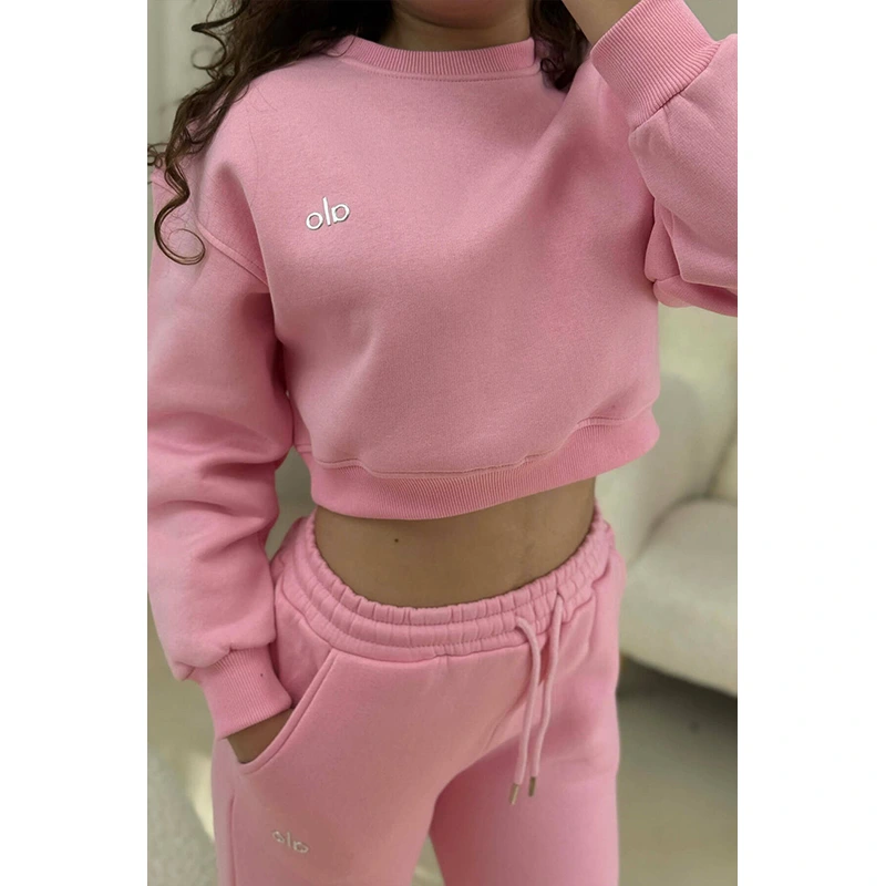 Alo Cropped Sweatshirt - Image 3