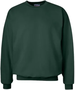 Hanes Sweatshirt