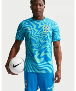 Men's Nike Brazil Academy Pro Pre-Match Short-Sleeve Top