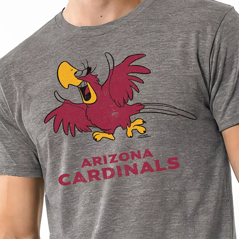 Champion NFL x Disney Jafar and Lago Arizona Cardinals T-shirt - Image 3