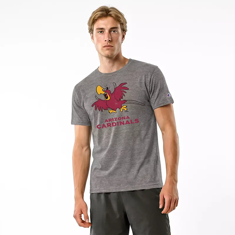 Champion NFL x Disney Jafar and Lago Arizona Cardinals T-shirt - Image 4