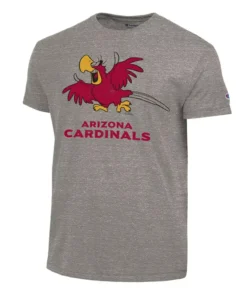 Champion NFL x Disney Jafar and Lago Arizona Cardinals T-shirt