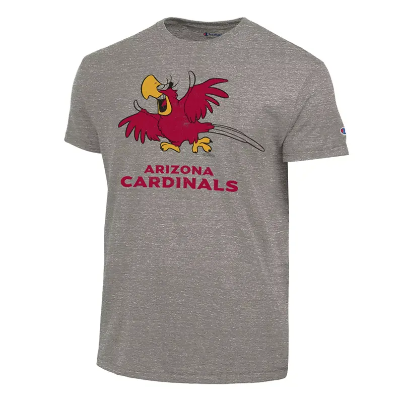 Champion NFL x Disney Jafar and Lago Arizona Cardinals T-shirt