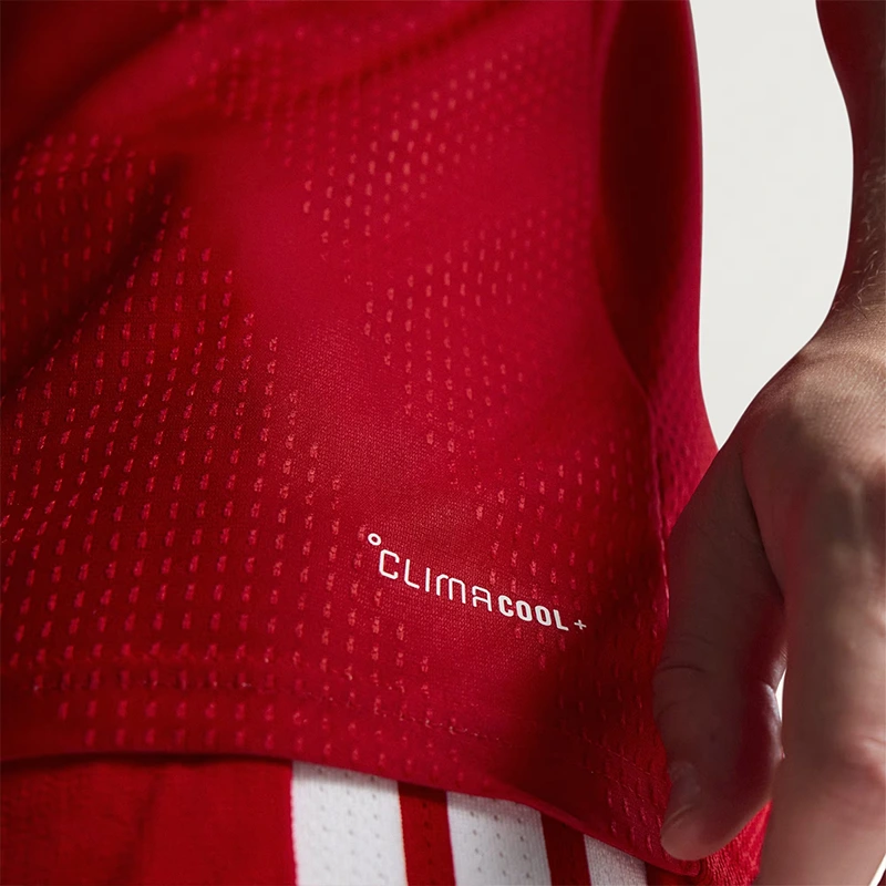 FIFA World Cup Wales 2026 Home Authentic Jersey - Image 10
