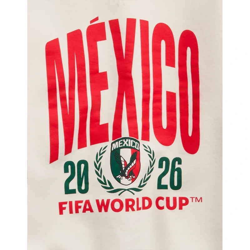 FWC26 OFFLINE By Aerie Mexico Cloud Fleece Oversized Crewneck Sweatshirt - Image 3