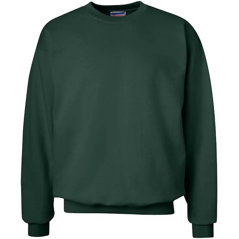 Hanes Sweatshirt