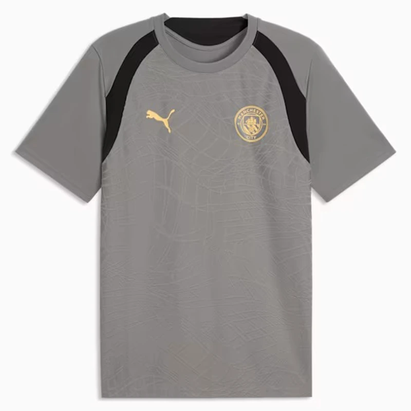 PUMA Manchester City Slim Soccer Cast Iron Training Jersey