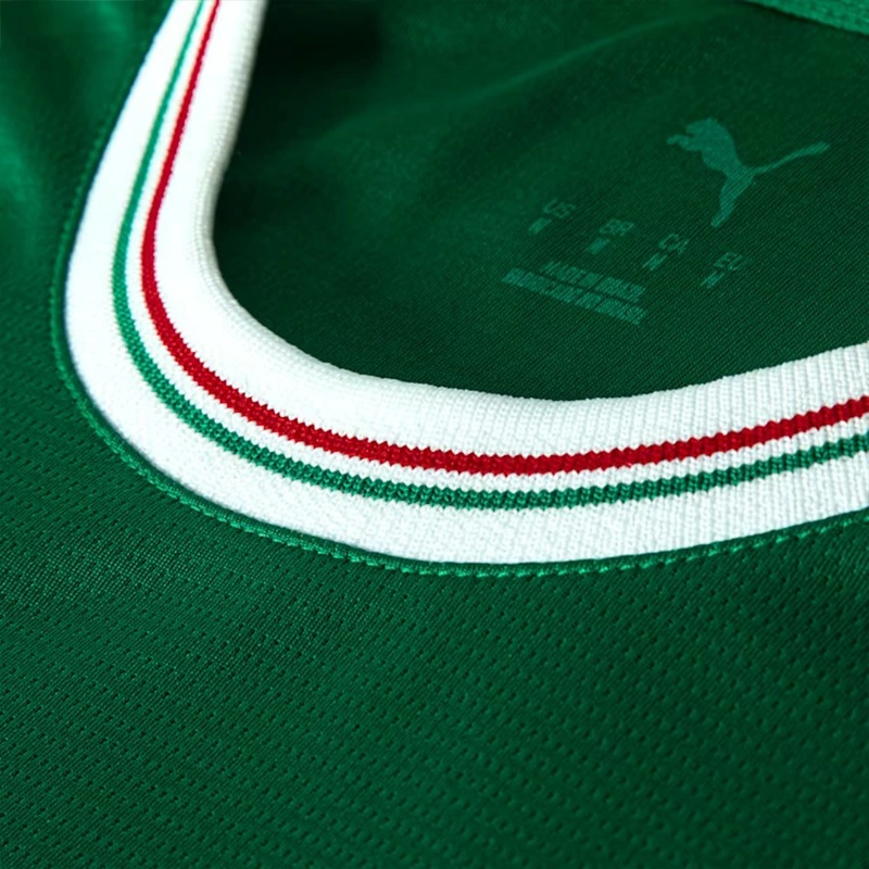 PUMA Palmeiras Torcedor 2026 Home Jersey - Image 5