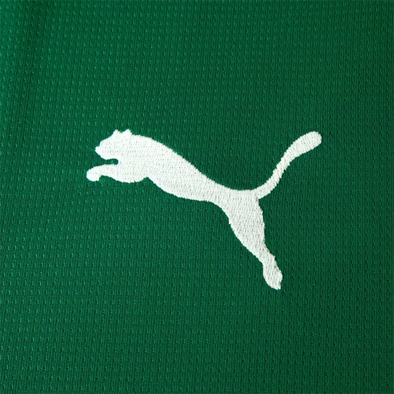 PUMA Palmeiras Torcedor 2026 Home Jersey - Image 3