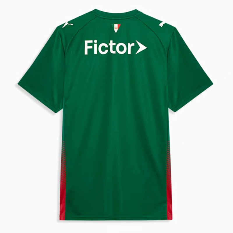 PUMA Palmeiras Torcedor 2026 Home Jersey - Image 2
